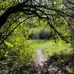 Naturparadies an der Lassallestraße - 