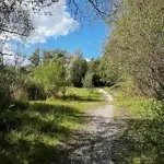 Naturparadies an der Lassallestraße - 
